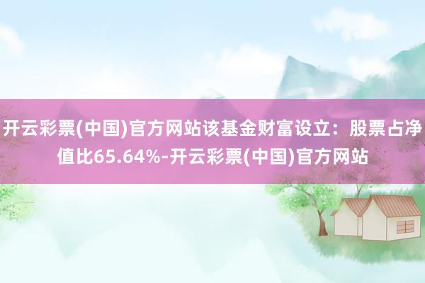 开云彩票(中国)官方网站该基金财富设立：股票占净值比65.64%-开云彩票(中国)官方网站