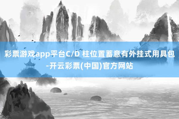 彩票游戏app平台C/D 柱位置蓄意有外挂式用具包-开云彩票(中国)官方网站