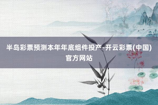 半岛彩票预测本年年底组件投产-开云彩票(中国)官方网站