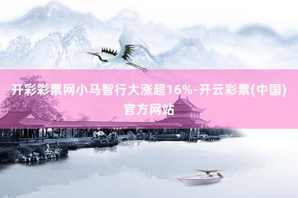 开彩彩票网小马智行大涨超16%-开云彩票(中国)官方网站