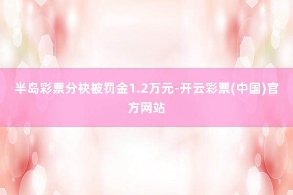 半岛彩票分袂被罚金1.2万元-开云彩票(中国)官方网站